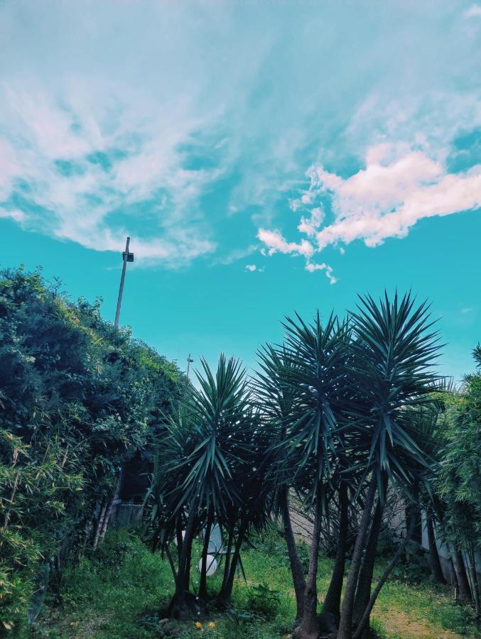 Garden Flat In 戛纳 外观 照片